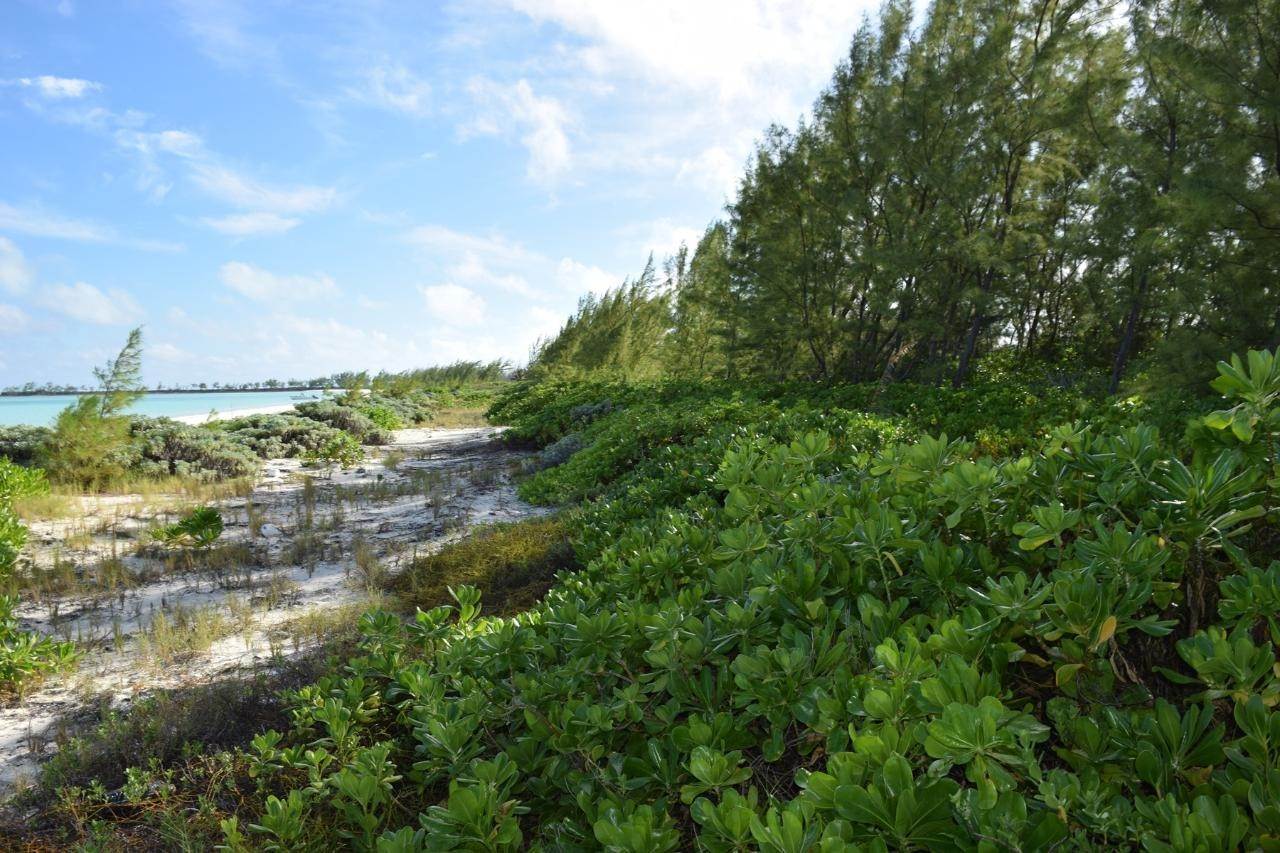 9. Land for Sale at Congo Town, Andros Bahamas