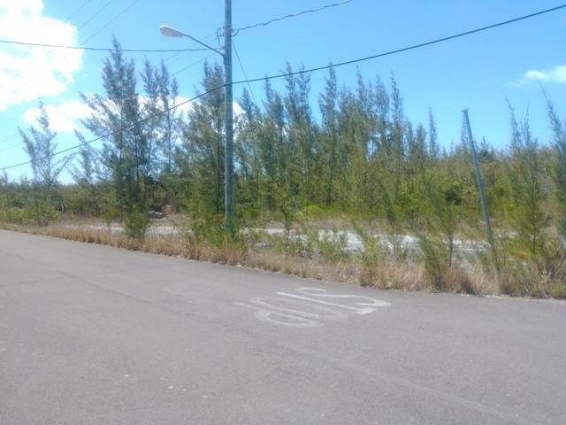 6. Land for Sale at Airport Industrial Park, Nassau and Paradise Island Bahamas