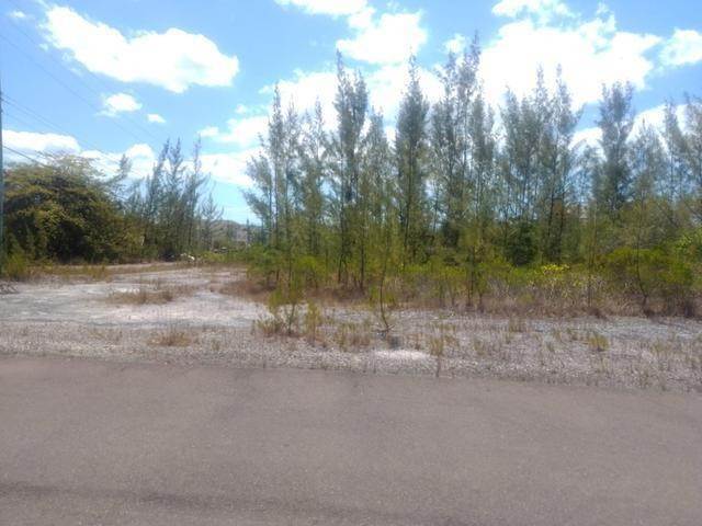 9. Land for Sale at Airport Industrial Park, Nassau and Paradise Island Bahamas