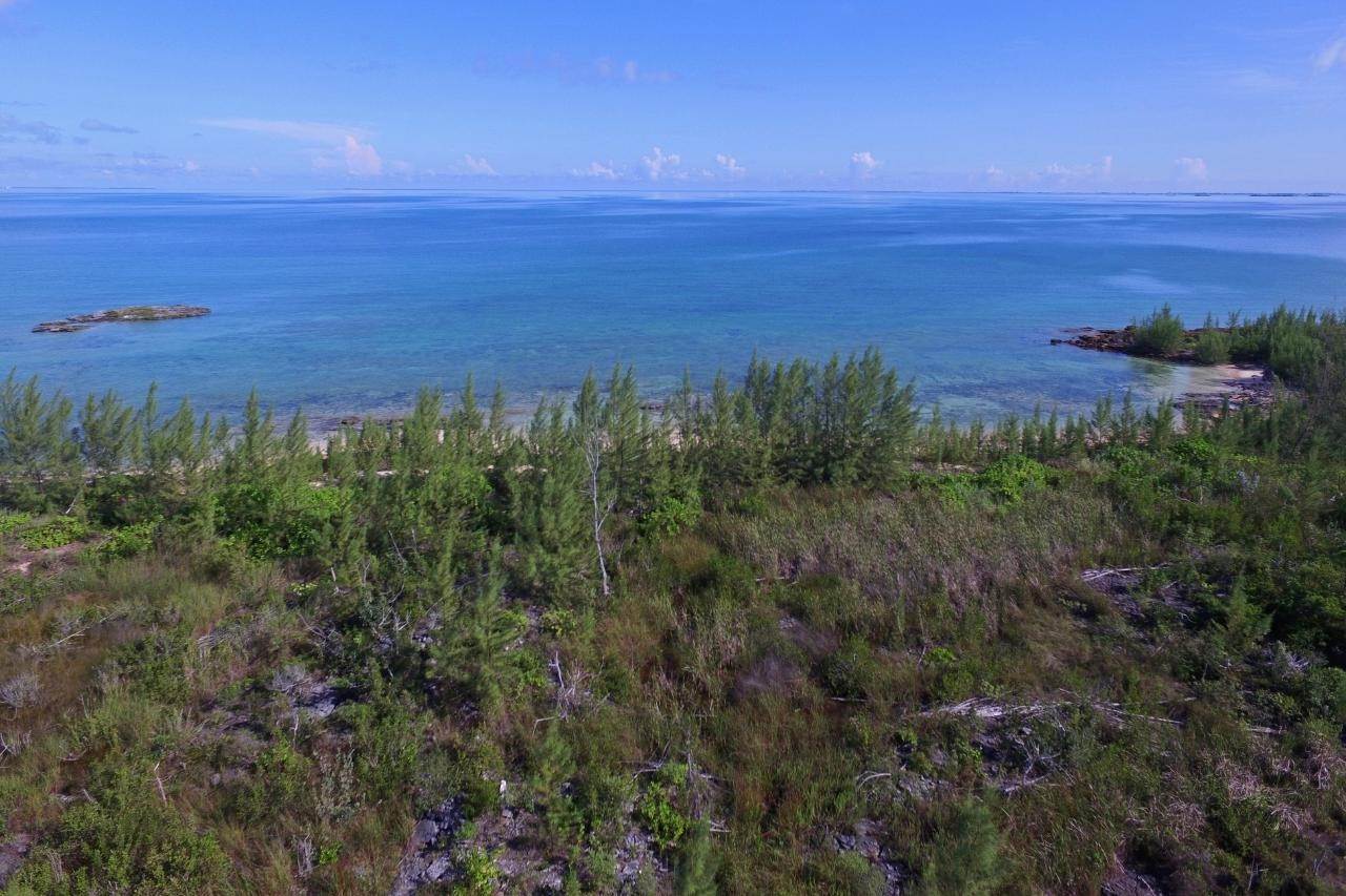 7. Land for Sale at Other Abaco, Abaco Bahamas