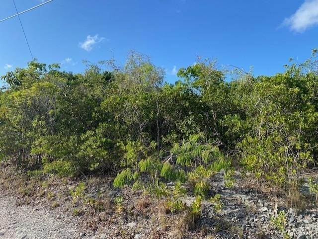 6. Land for Sale at Other Cat Island, Cat Island Bahamas
