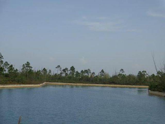 3. Land for Sale at Lucaya, Freeport and Grand Bahama Bahamas