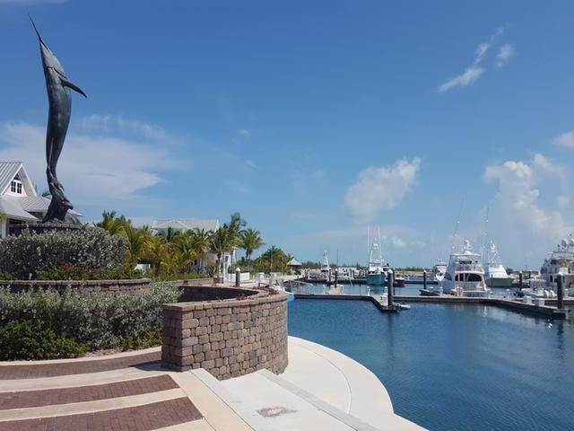 14. Land for Sale at Chub Cay, Berry Islands Bahamas
