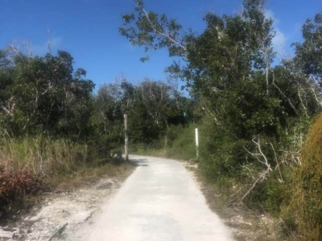 3. Land for Sale at Green Turtle Cay, Abaco Bahamas