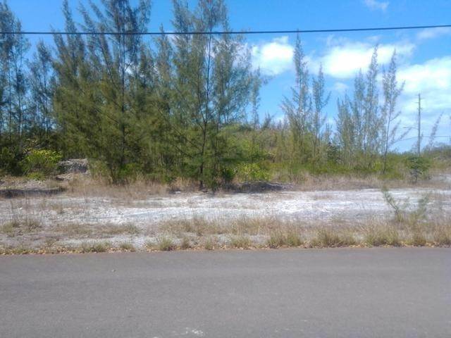 7. Land for Sale at Airport Industrial Park, Nassau and Paradise Island Bahamas