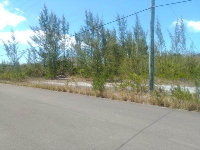 8. Land for Sale at Airport Industrial Park, Nassau and Paradise Island Bahamas