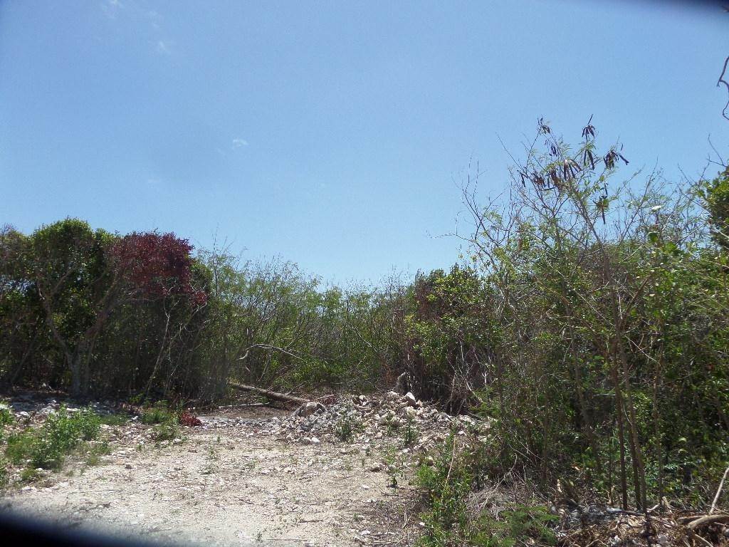 2. Land for Sale at Stella Maris, Long Island Bahamas