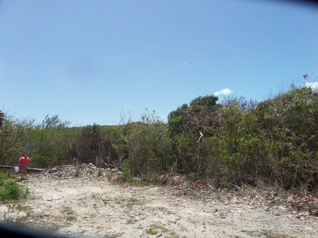 8. Land for Sale at Stella Maris, Long Island Bahamas