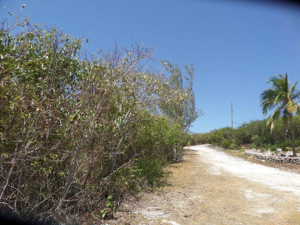 9. Land for Sale at Stella Maris, Long Island Bahamas