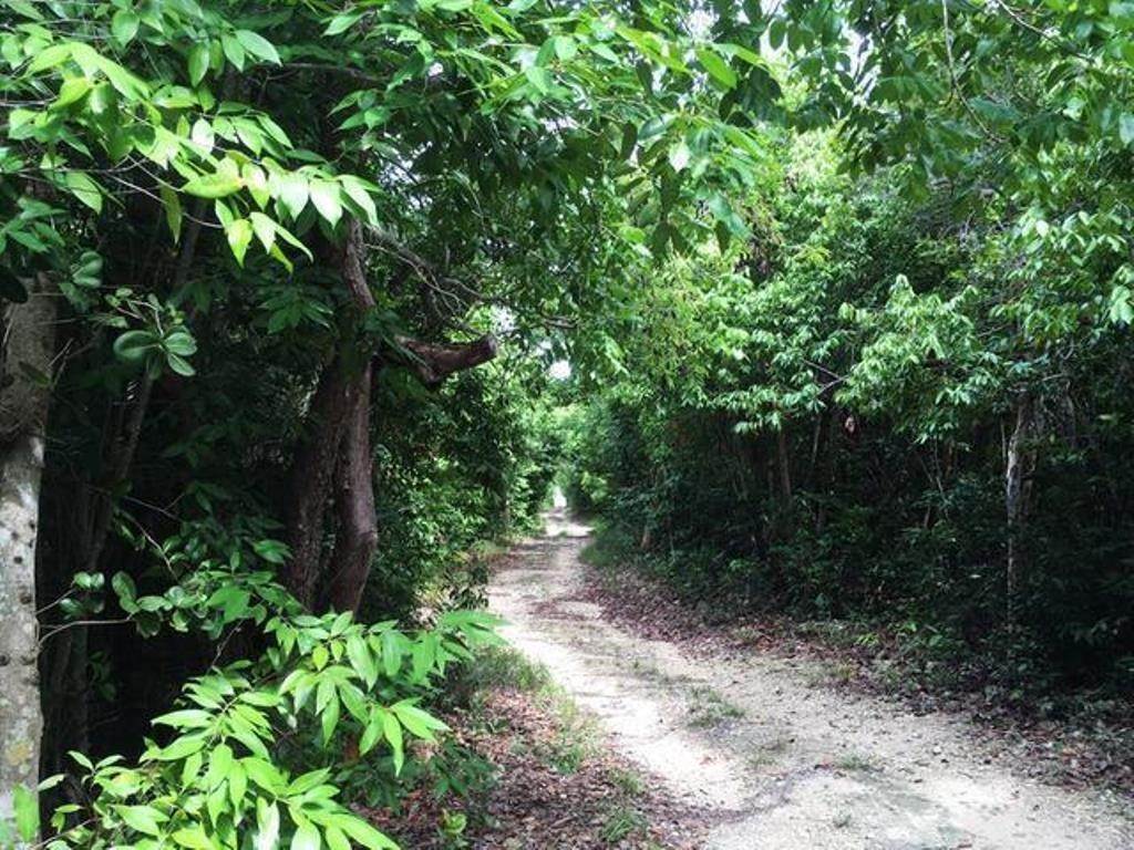 12. Land for Sale at Lubbers Quarters, Abaco Bahamas