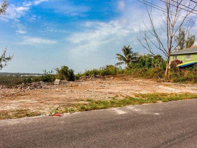 2. Land for Sale at Other New Providence, New Providence Bahamas
