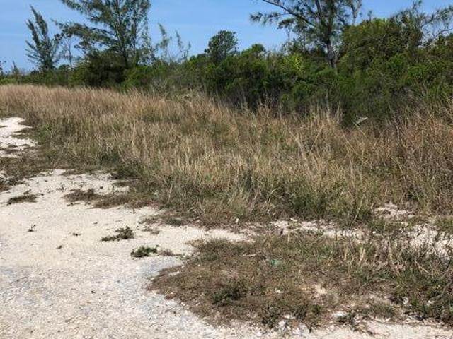 7. Land for Sale at Other New Providence, New Providence Bahamas