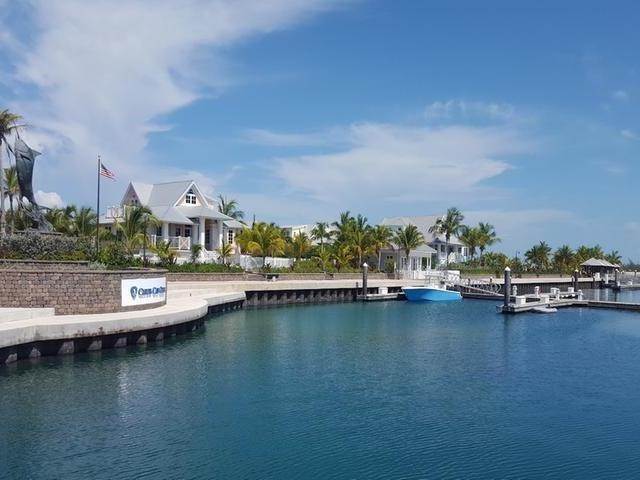 21. Land for Sale at Chub Cay, Berry Islands Bahamas