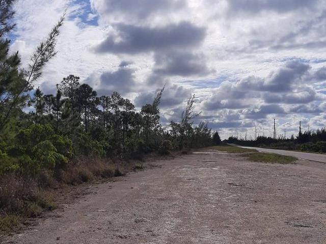 9. Land for Sale at Other New Providence, New Providence Bahamas
