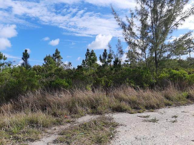 10. Land for Sale at Other New Providence, New Providence Bahamas