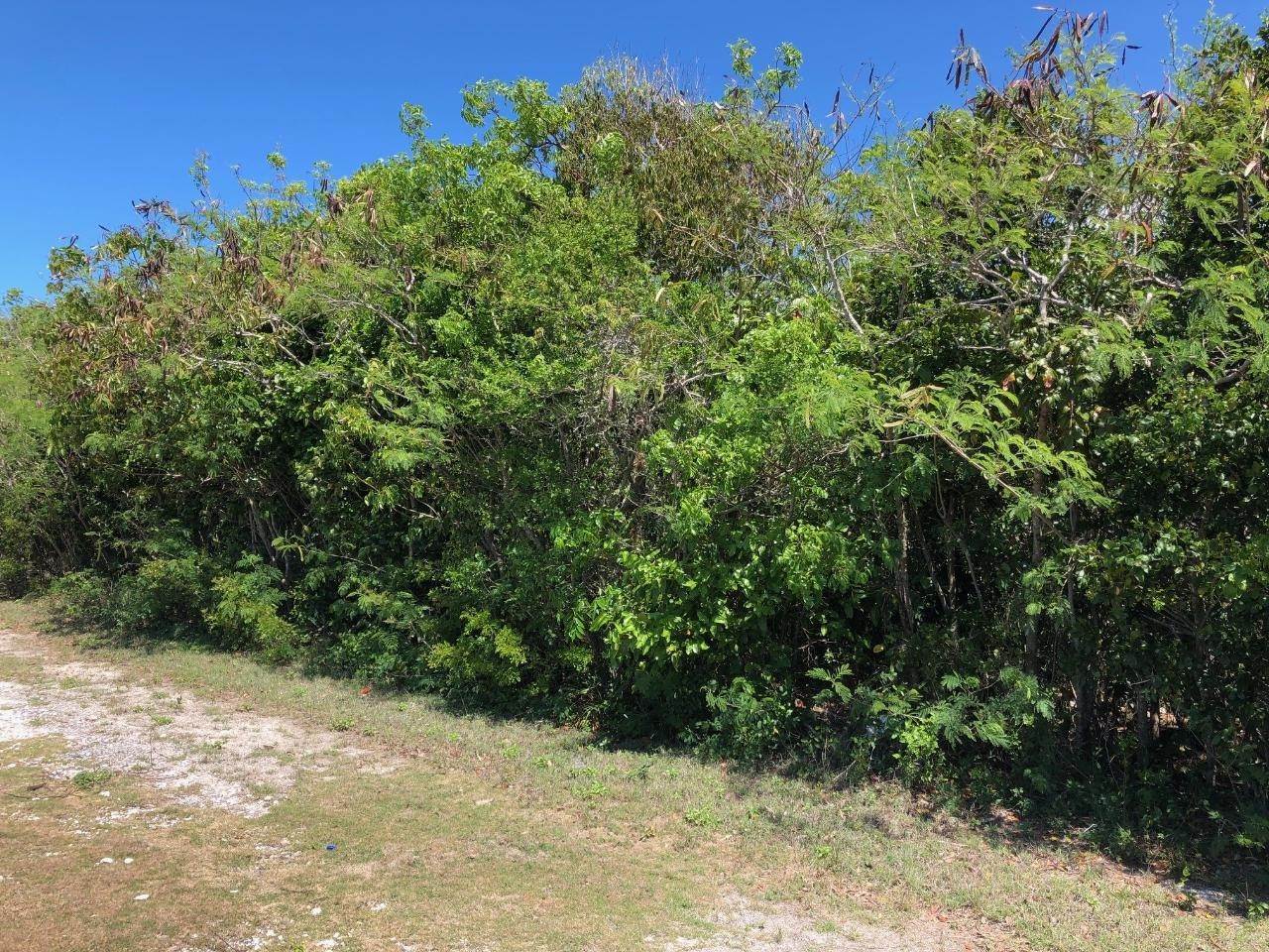 12. Land for Sale at Gregory Town, Eleuthera Bahamas