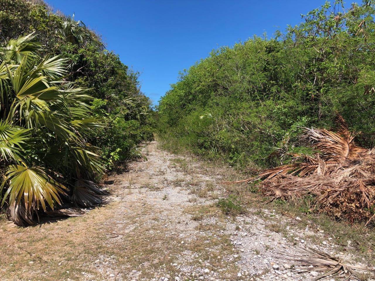9. Land for Sale at Gregory Town, Eleuthera Bahamas