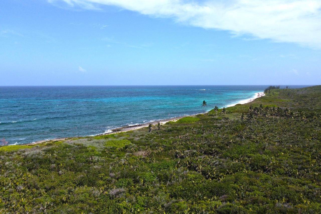 4. Land for Sale at Little Harbour, Abaco Bahamas