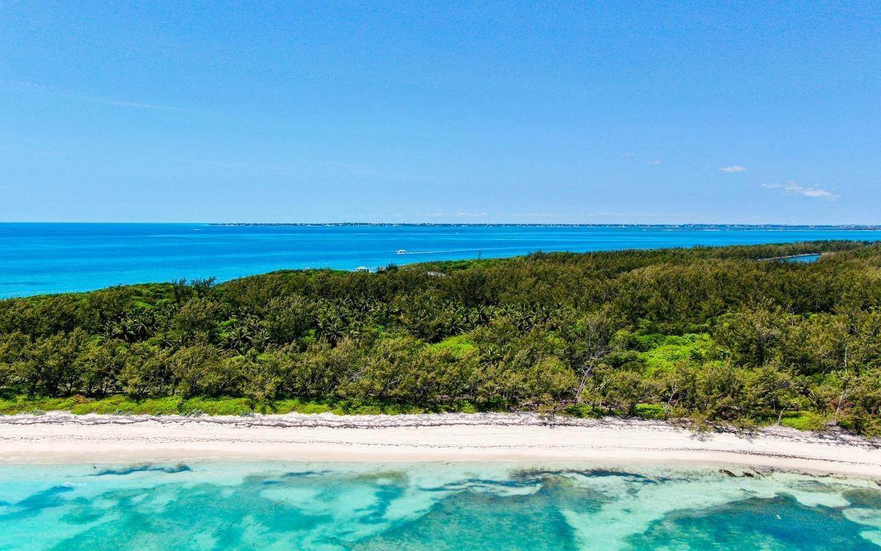 6. Land for Sale at Other Rose Island, Rose Island Bahamas