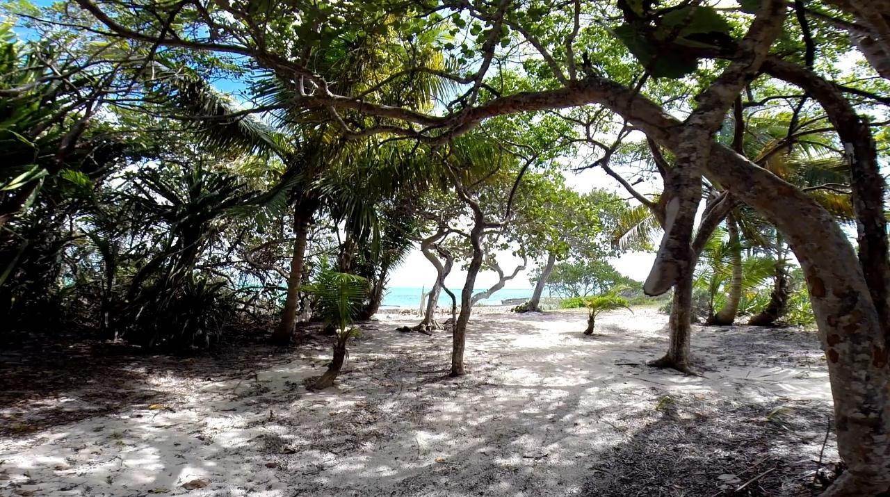 12. Private Islands for Sale at Mangrove Cay, Andros Bahamas