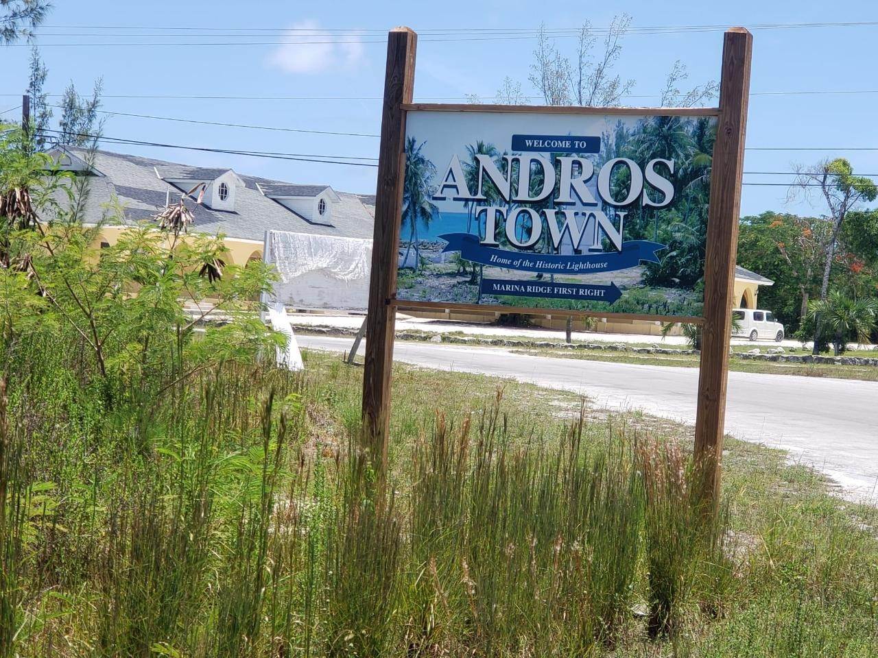 10. Land for Sale at Fresh Creek, Andros Bahamas