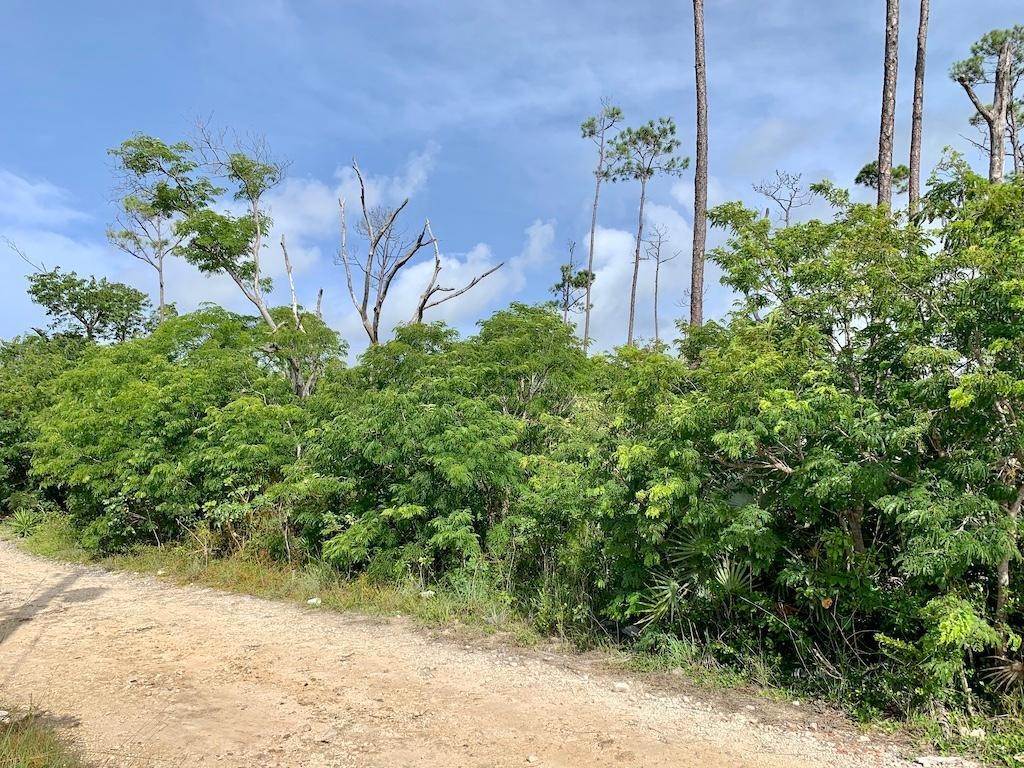 5. Land for Sale at Arden Forest, Freeport and Grand Bahama Bahamas