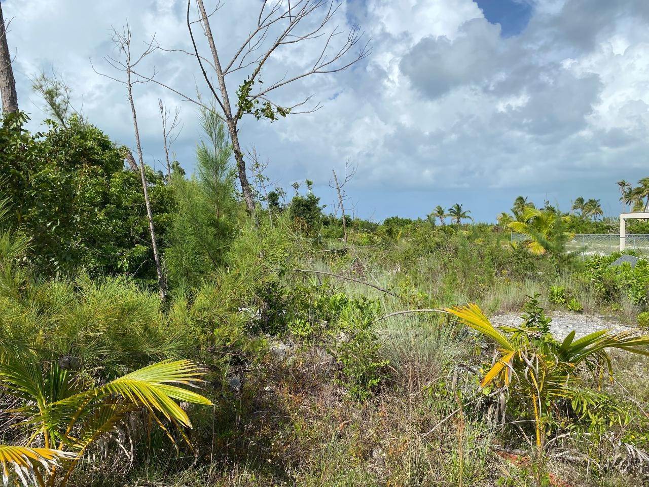 2. Land for Sale at Leisure Lee, Abaco Bahamas