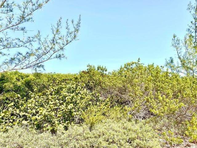 3. Land for Sale at Whale Point, Eleuthera Bahamas