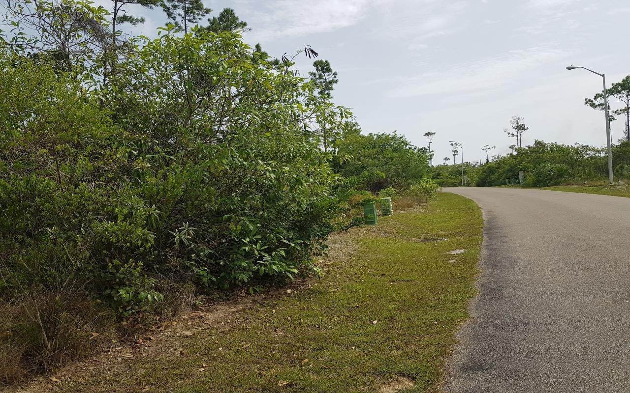 4. Land for Sale at South Ocean, Nassau and Paradise Island Bahamas