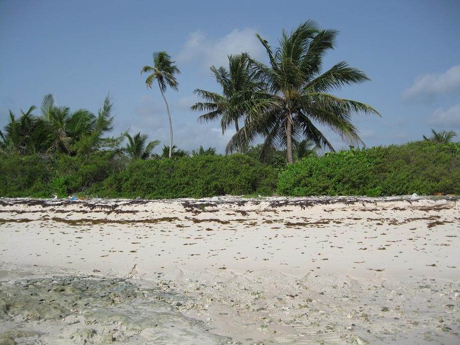 2. Land for Sale at Congo Town, Andros Bahamas