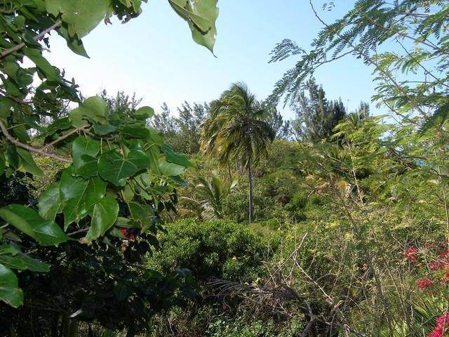 5. Land for Sale at Palmetto Point, Eleuthera Bahamas