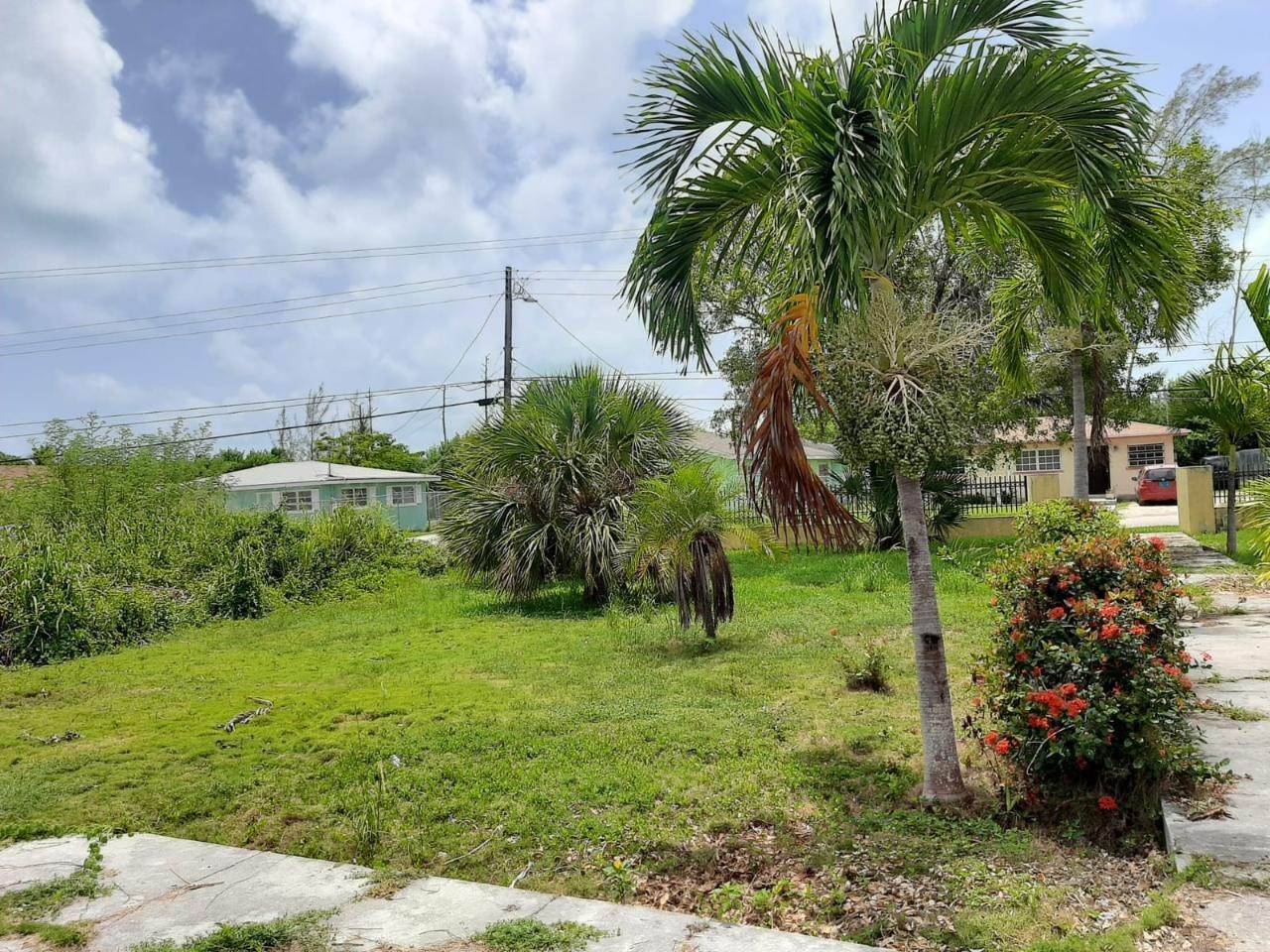 12. Single Family Homes for Sale at Joe Farrington Road, Nassau and Paradise Island Bahamas