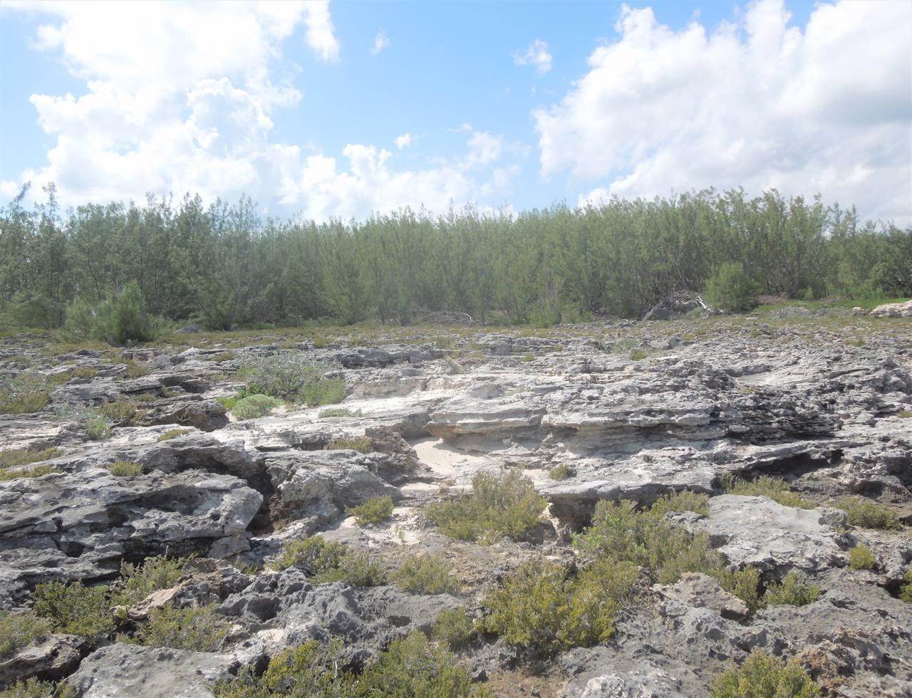4. Land for Sale at Whale Point, Eleuthera Bahamas
