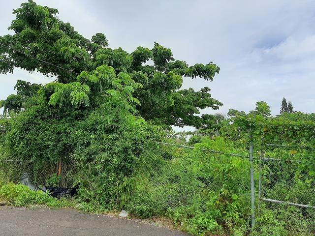 Land for Sale at East Hill Street, Nassau and Paradise Island Bahamas