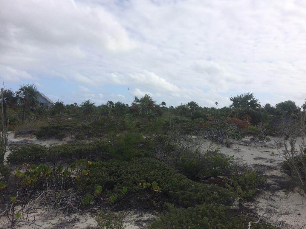 5. Land for Sale at Hawks Nest, Cat Island Bahamas