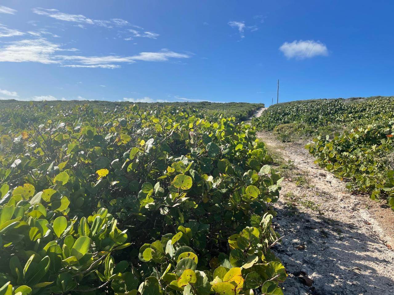 3. Land for Sale at Clarence Town, Long Island Bahamas