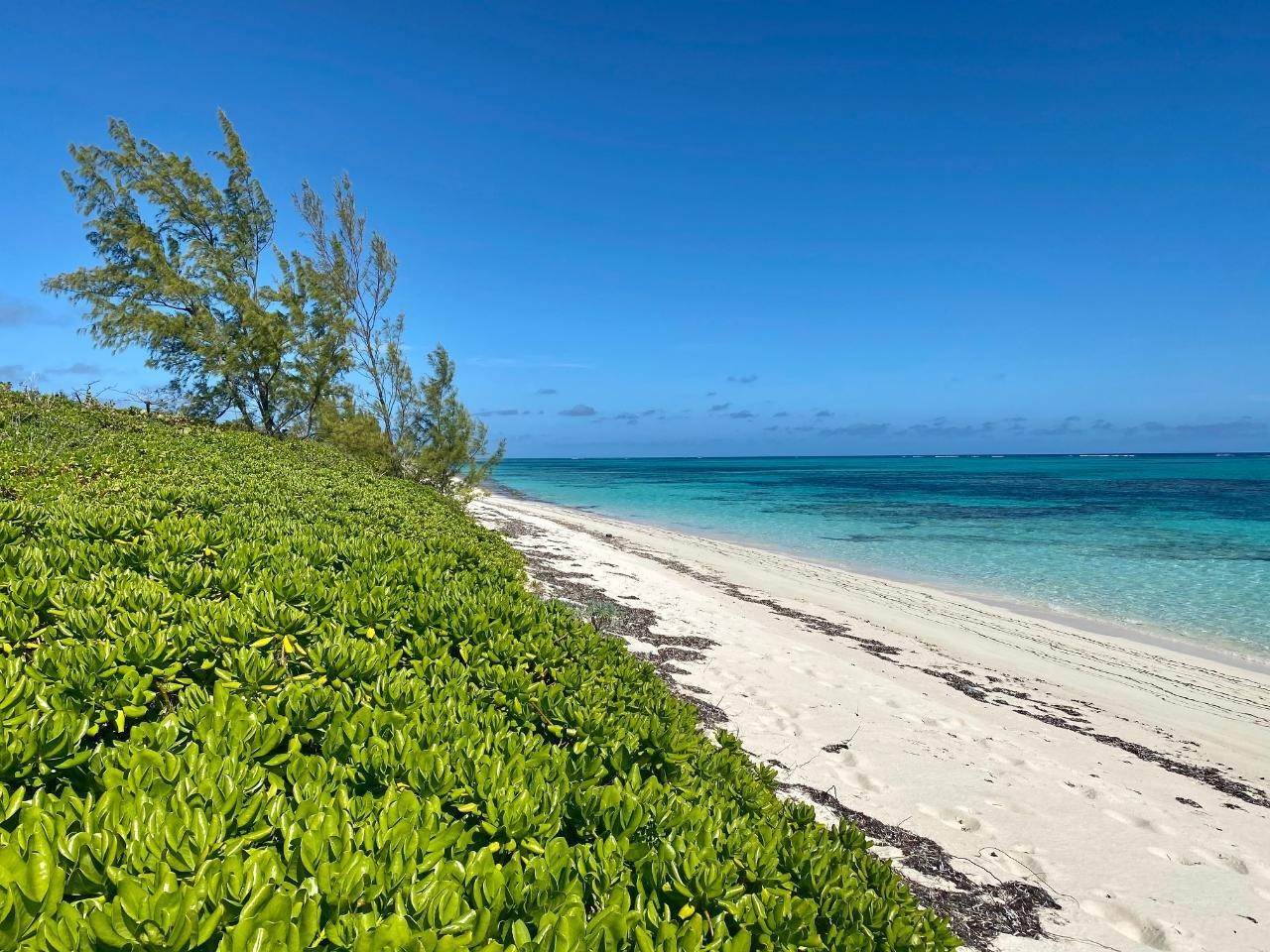 12. Land for Sale at Old Bight, Cat Island Bahamas