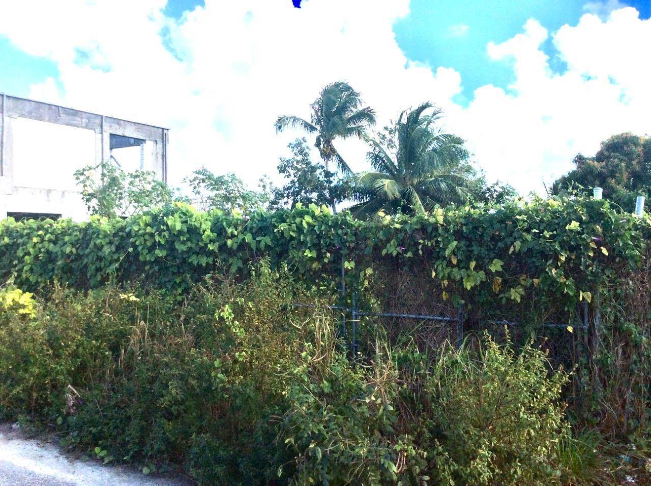 5. Land for Sale at Pinewood Gardens, Nassau and Paradise Island Bahamas