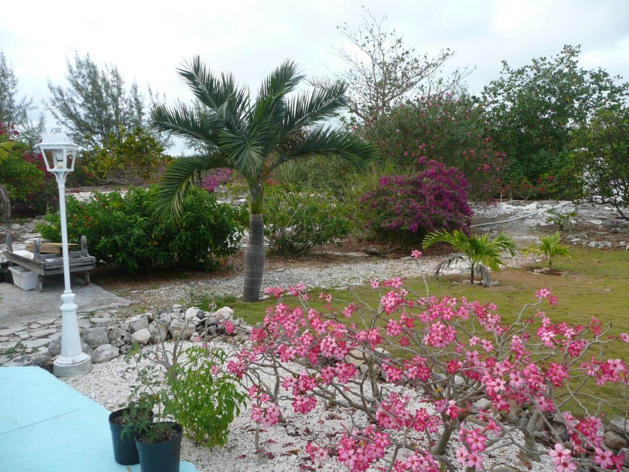 21. Land for Sale at Current, Eleuthera Bahamas