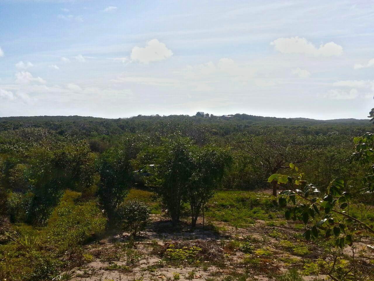 5. Land for Sale at Arthurs Town, Cat Island Bahamas