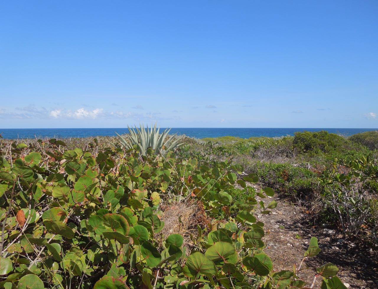 2. Land for Sale at Whale Point, Eleuthera Bahamas
