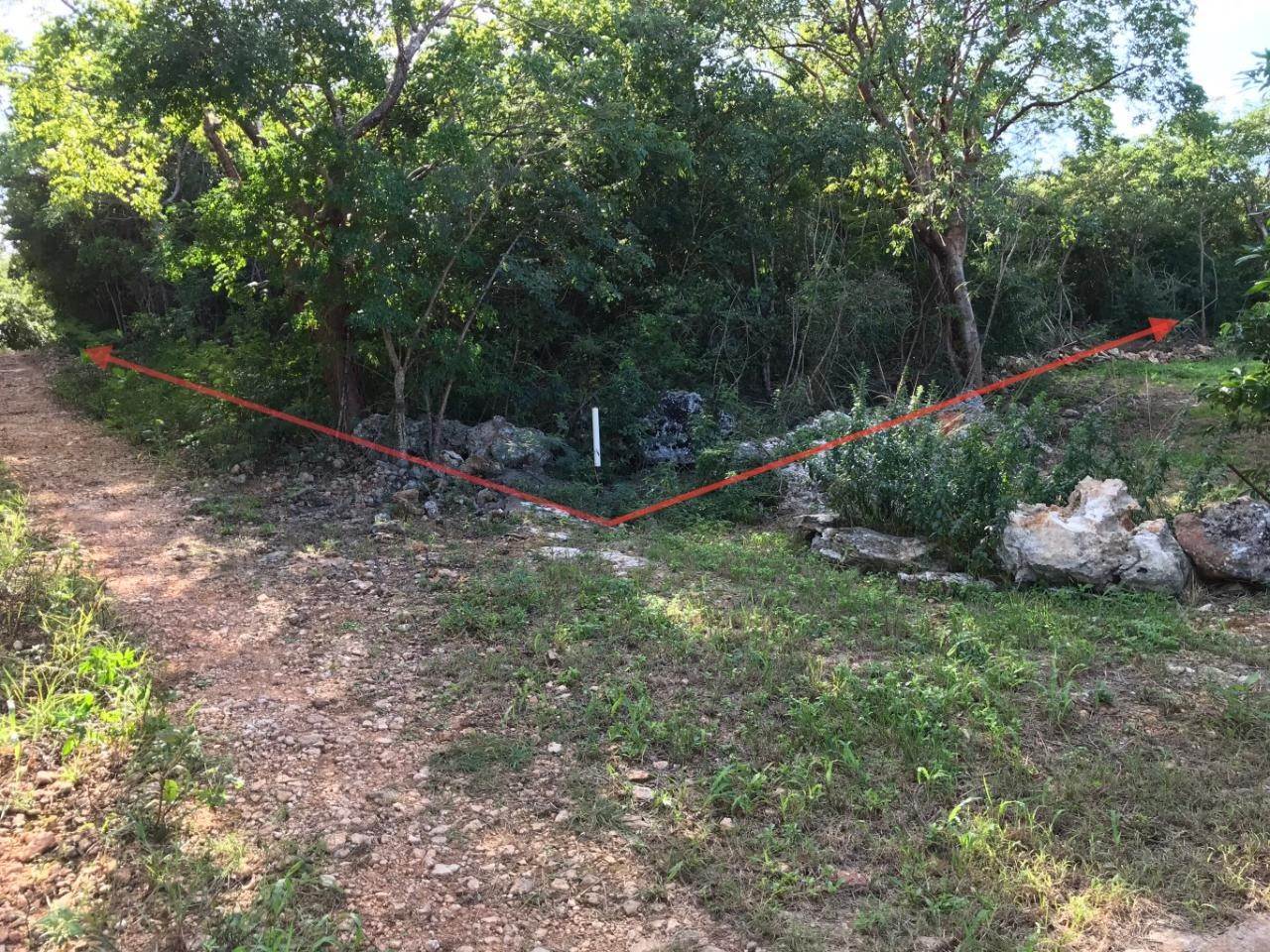 18. Land for Sale at Gregory Town, Eleuthera Bahamas