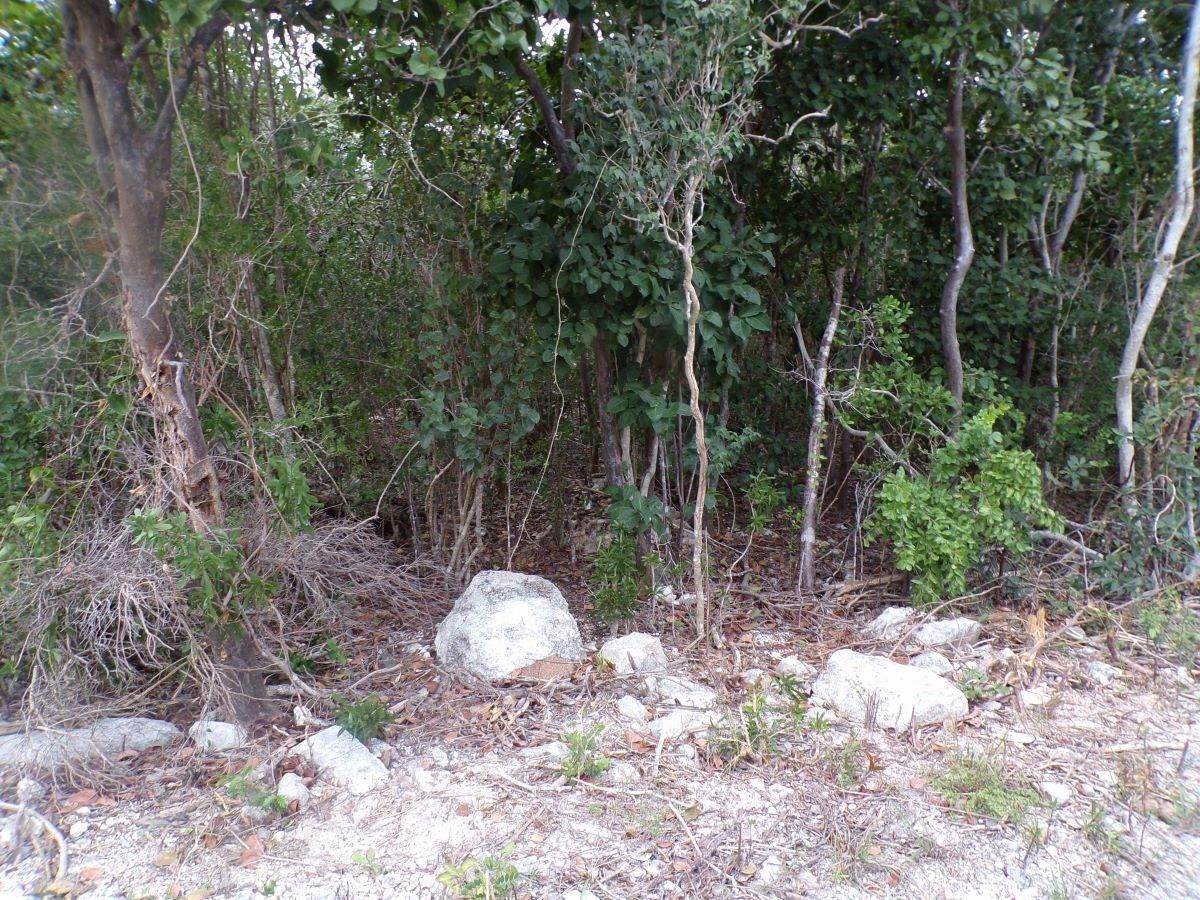 4. Land for Sale at Stella Maris, Long Island Bahamas