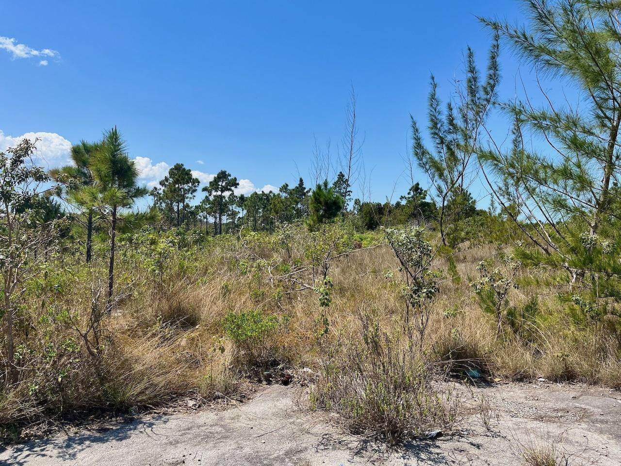 4. Land for Sale at Crossings Rock, Abaco Bahamas
