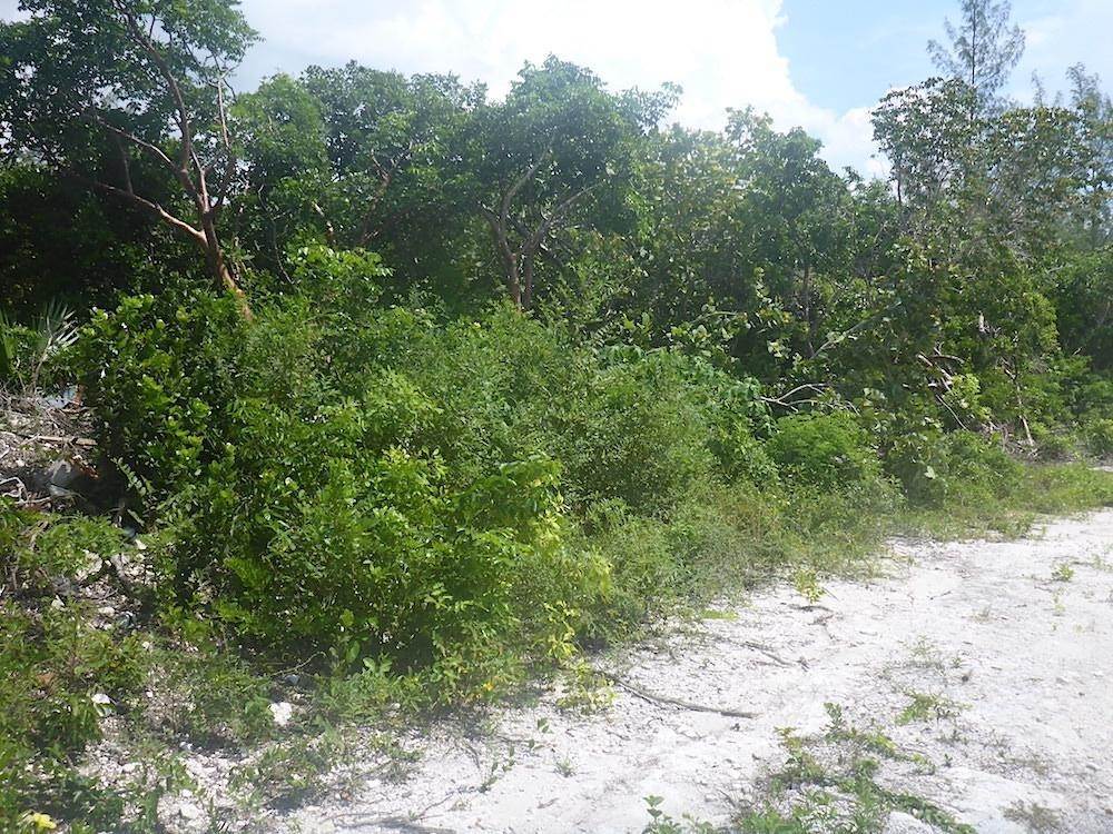 2. Land for Sale at Great Harbour Cay, Berry Islands Bahamas