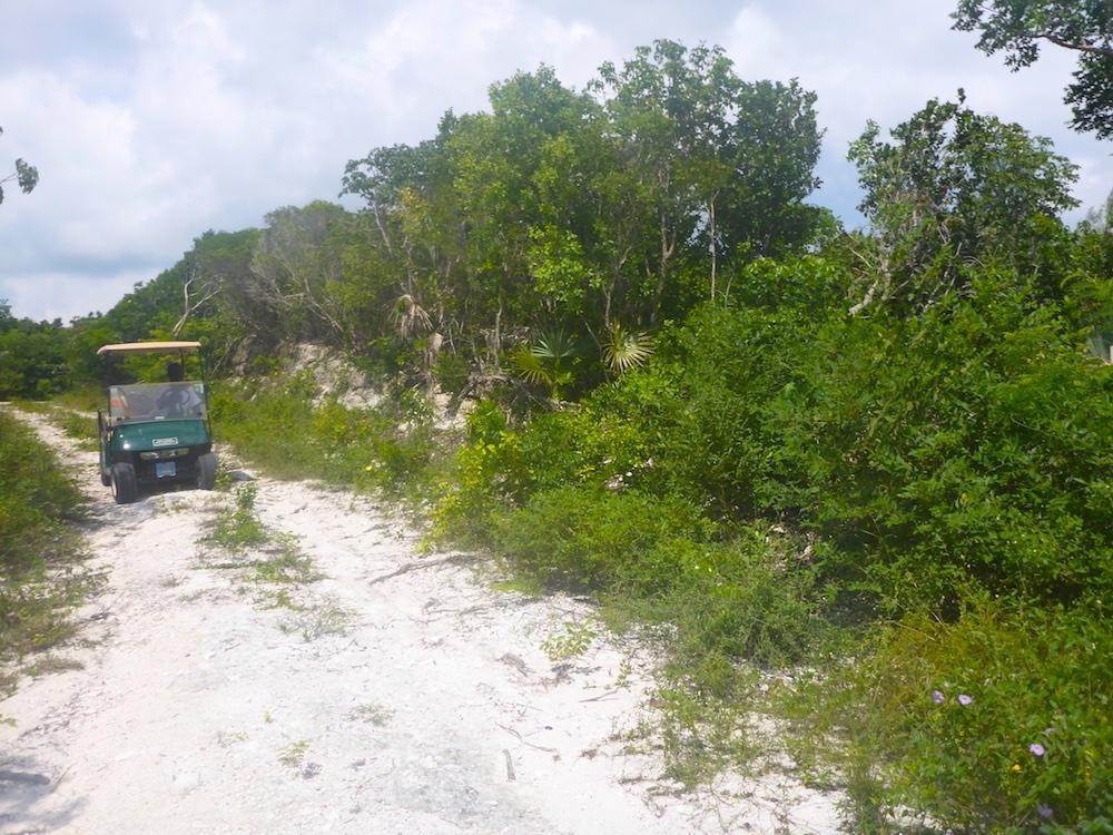 3. Land for Sale at Great Harbour Cay, Berry Islands Bahamas