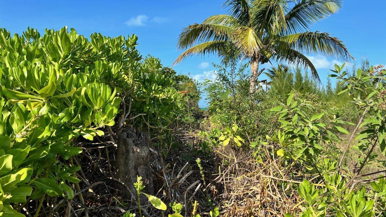 23. Land for Sale at Leisure Lee, Abaco Bahamas