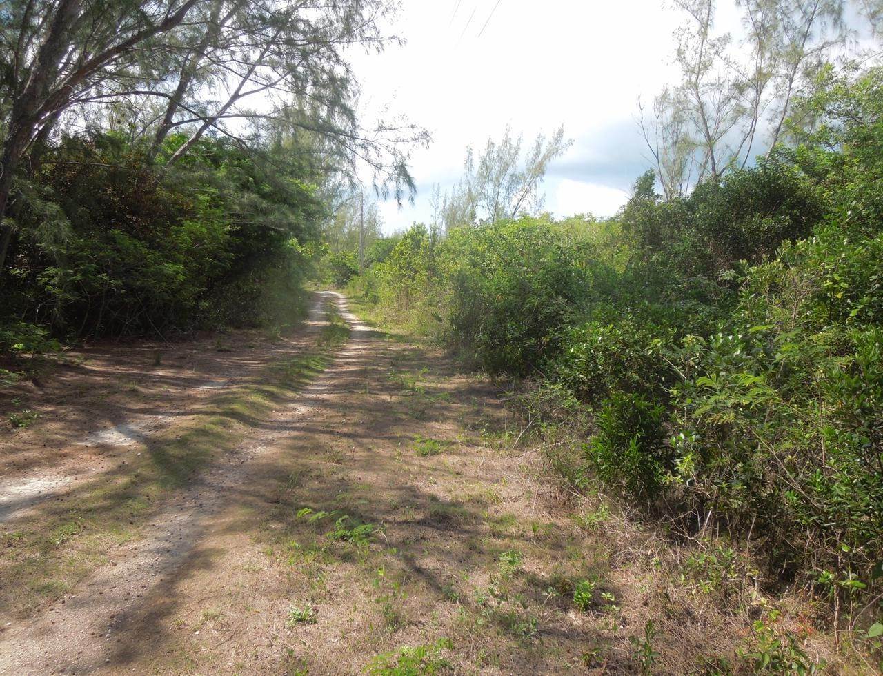 7. Land for Sale at Whale Point, Eleuthera Bahamas