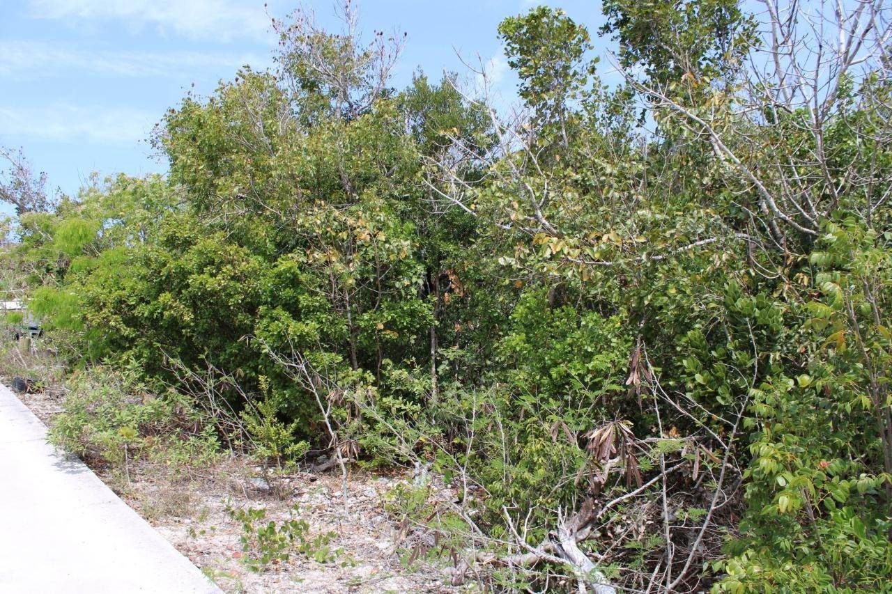 11. Land for Sale at Elbow Cay Hope Town, Abaco Bahamas