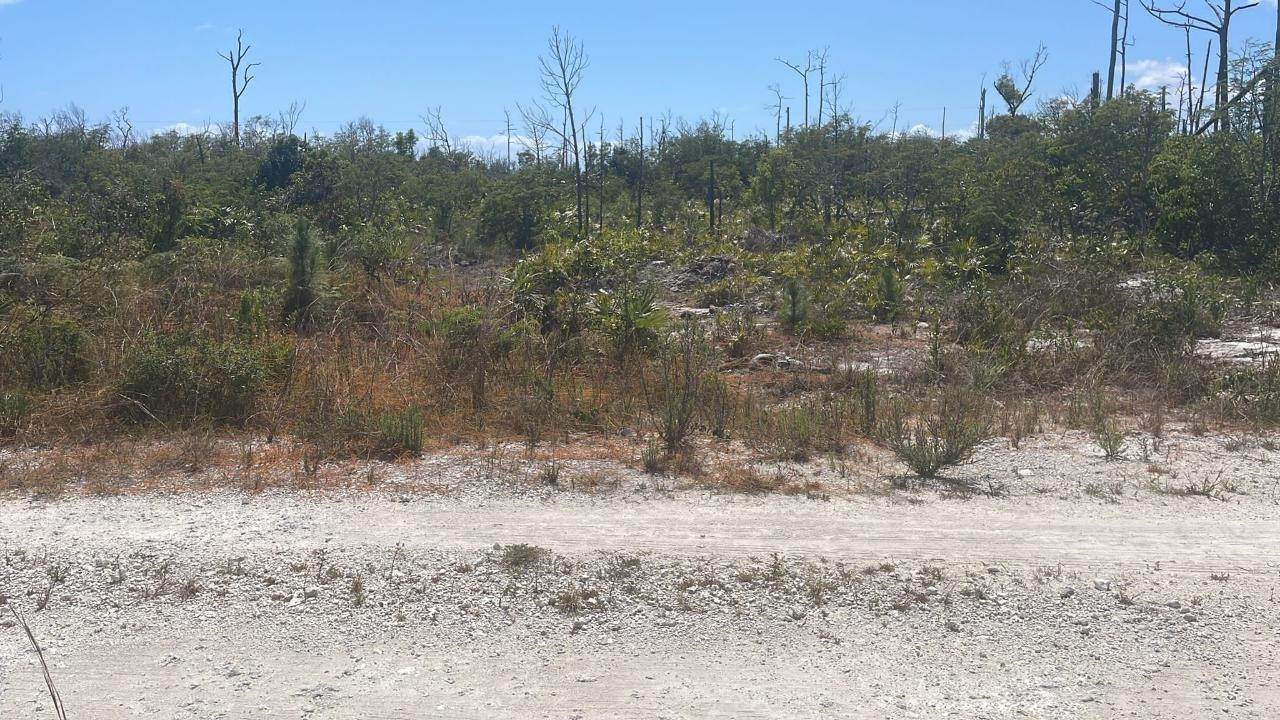 Land for Sale at High Rock, Freeport and Grand Bahama Bahamas